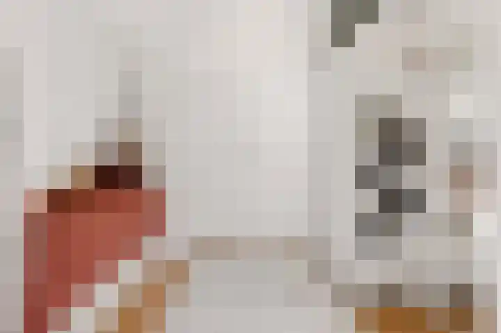 Vrugteveensweg 5 Hellendoorn thumbnail 39