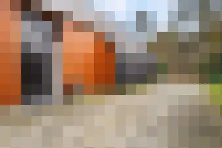 Vrugteveensweg 5 Hellendoorn thumbnail 4