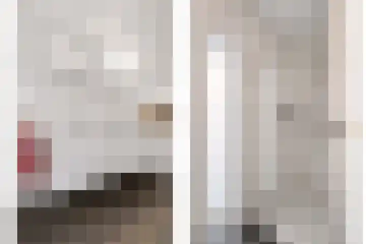 Vrugteveensweg 5 Hellendoorn thumbnail 42