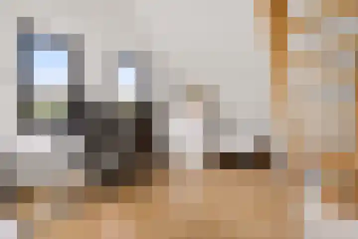 Vrugteveensweg 5 Hellendoorn thumbnail 46