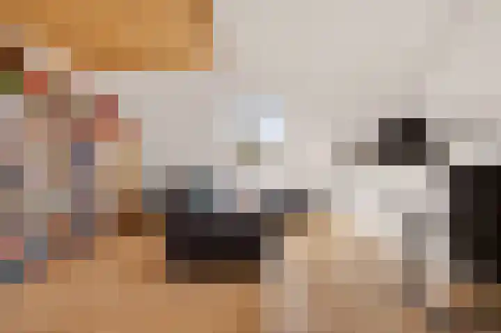Vrugteveensweg 5 Hellendoorn thumbnail 47