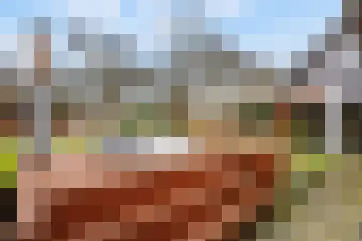 Vrugteveensweg 5 Hellendoorn thumbnail 51