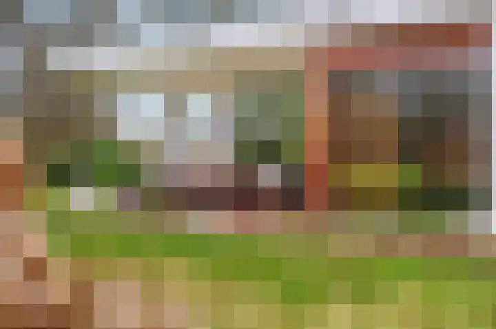 Vrugteveensweg 5 Hellendoorn thumbnail 52