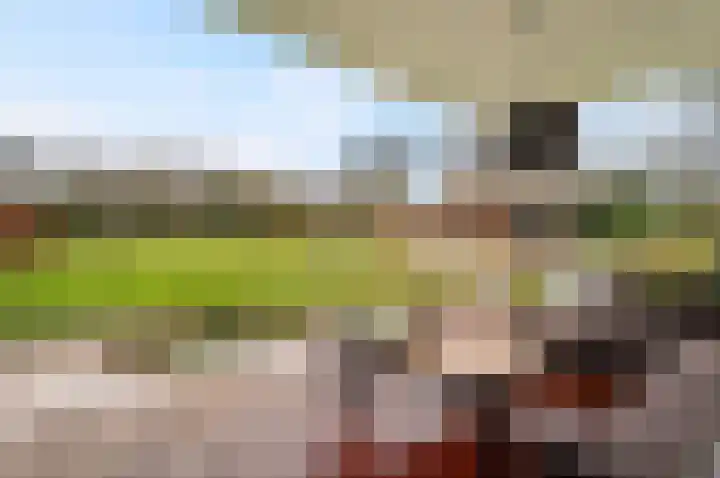 Vrugteveensweg 5 Hellendoorn thumbnail 53