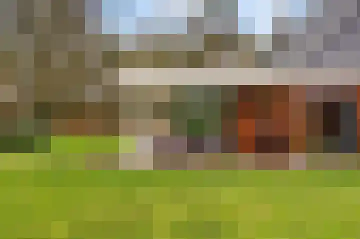 Vrugteveensweg 5 Hellendoorn thumbnail 55