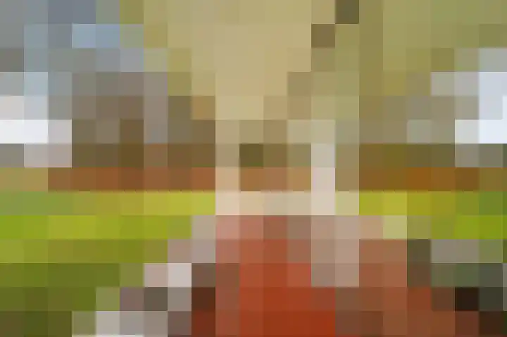 Vrugteveensweg 5 Hellendoorn thumbnail 58