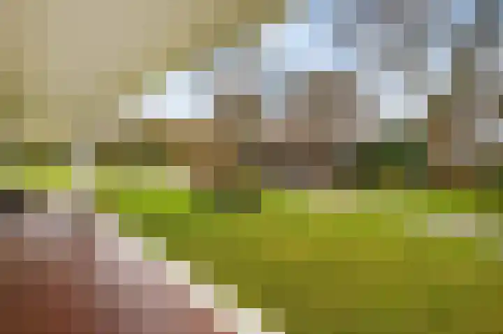 Vrugteveensweg 5 Hellendoorn thumbnail 59