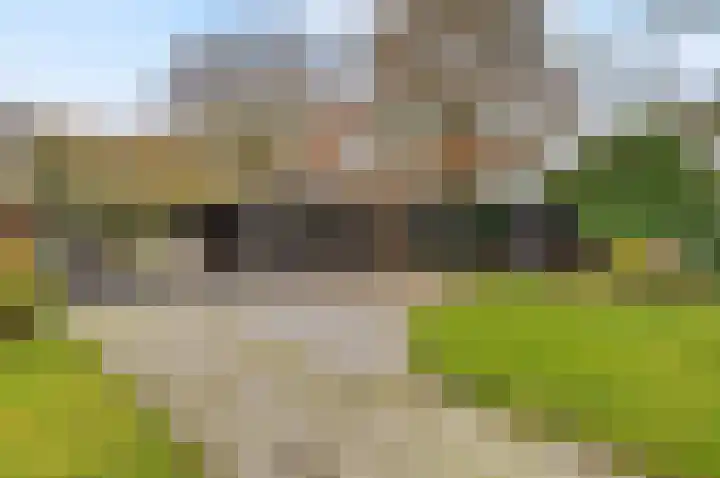 Vrugteveensweg 5 Hellendoorn thumbnail 60