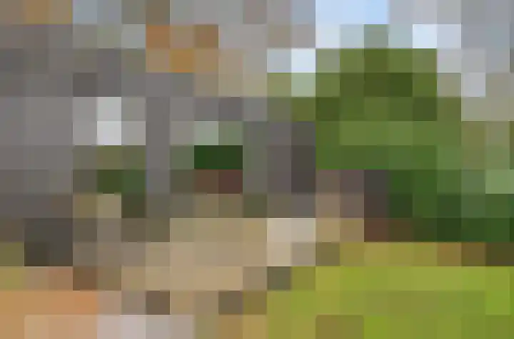 Vrugteveensweg 5 Hellendoorn thumbnail 65