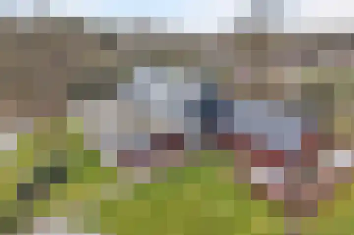 Vrugteveensweg 5 Hellendoorn thumbnail 68