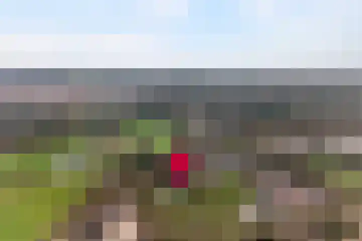 Vrugteveensweg 5 Hellendoorn thumbnail 69