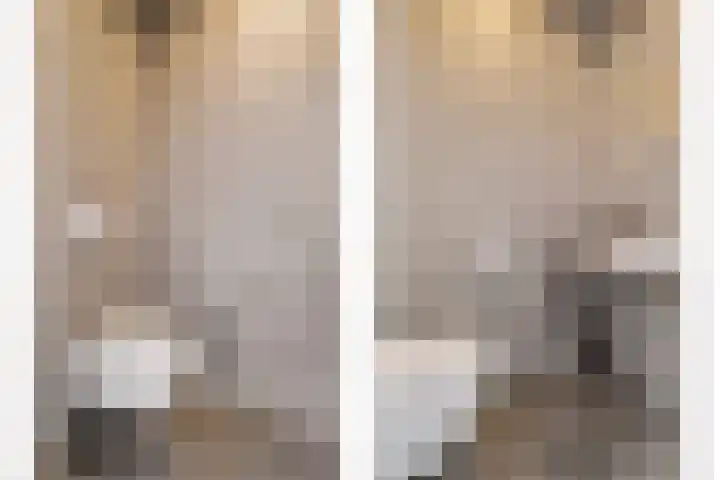 Vrugteveensweg 5 Hellendoorn thumbnail 7