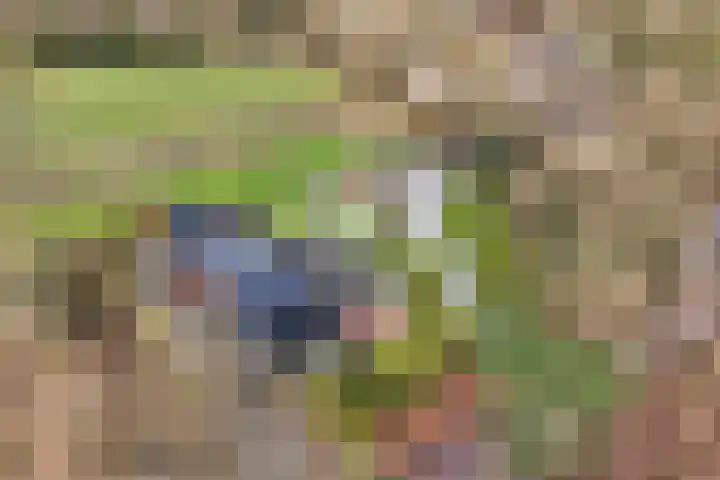 Vrugteveensweg 5 Hellendoorn thumbnail 70
