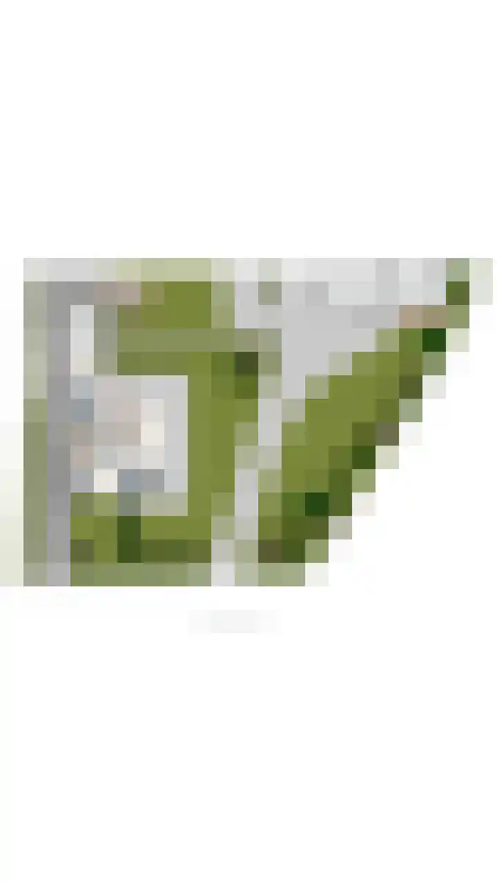 Vrugteveensweg 5 Hellendoorn thumbnail 76