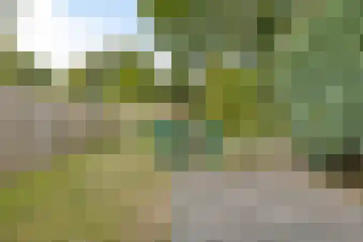 Vrusschemigerweg 111 Heerlen thumbnail 26