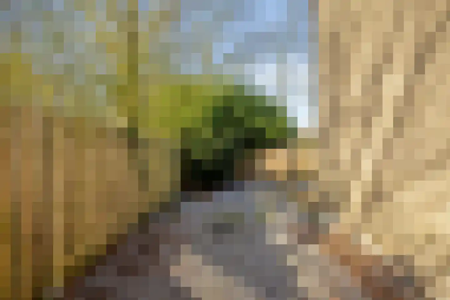 Vrusschemigerweg 121 Heerlen thumbnail 35