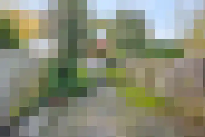 Vrusschemigerweg 135 Heerlen thumbnail 30