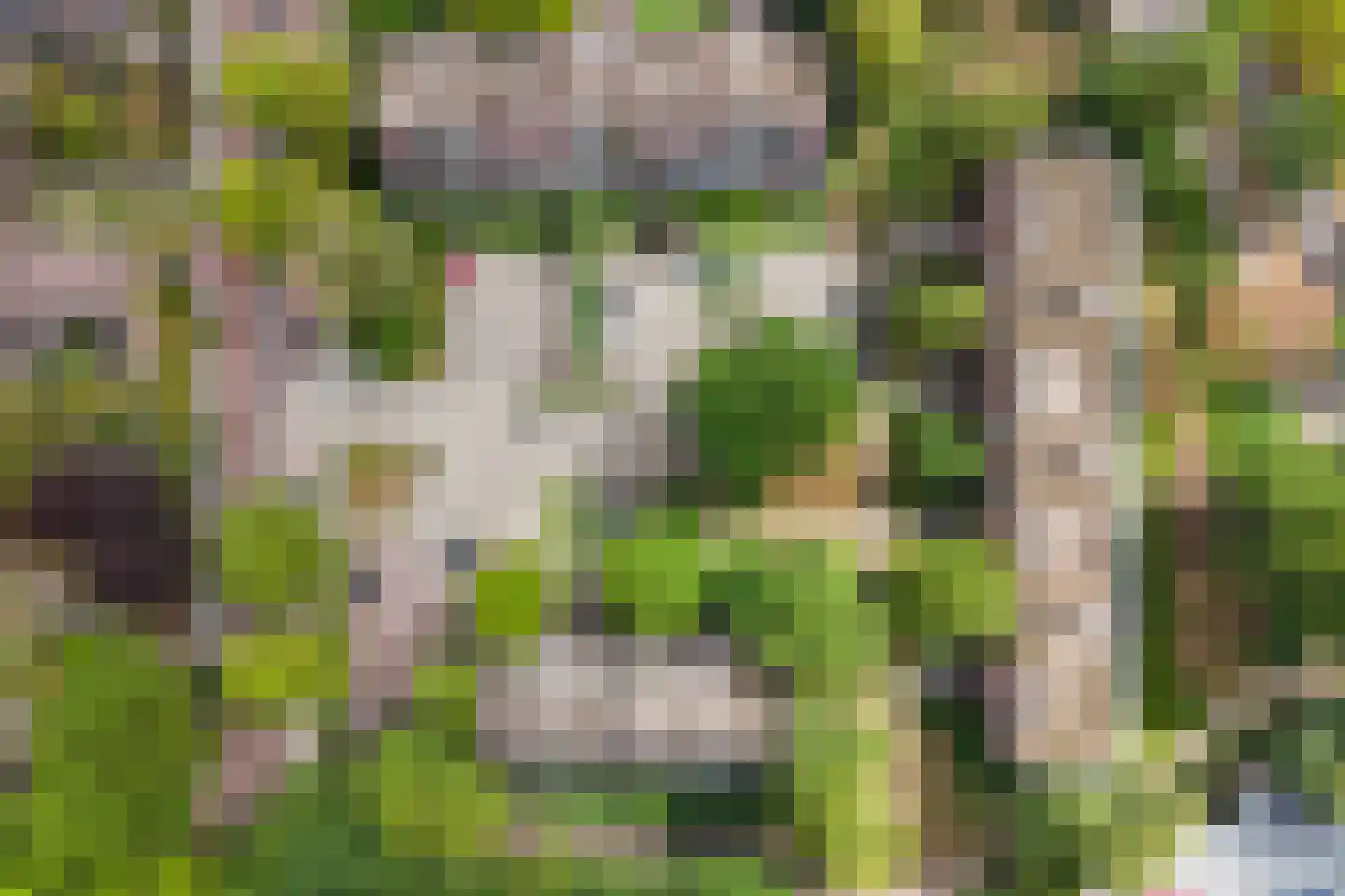 Vrusschemigerweg 285 Heerlen thumbnail 25