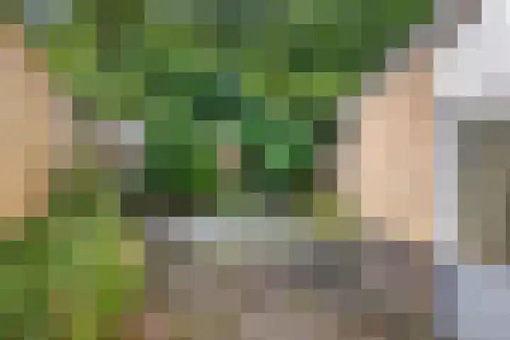 Vrusschemigerweg 45 Heerlen thumbnail 27