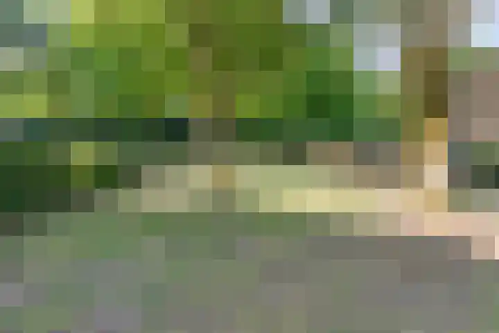 Vrusschemigerweg 45 Heerlen thumbnail 31