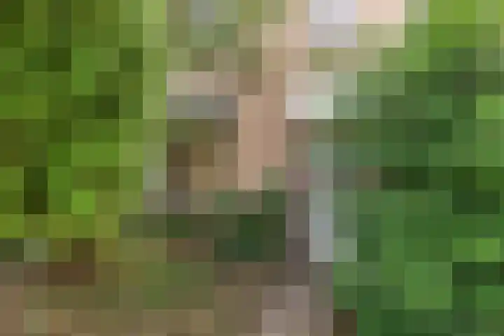 Vrusschemigerweg 45 Heerlen thumbnail 4