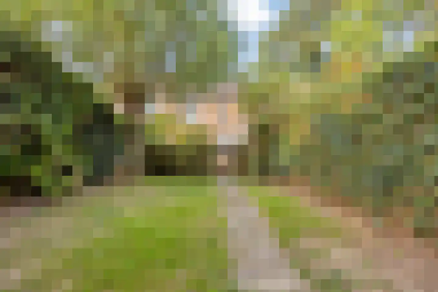 Vrusschemigerweg 58 Heerlen thumbnail 21