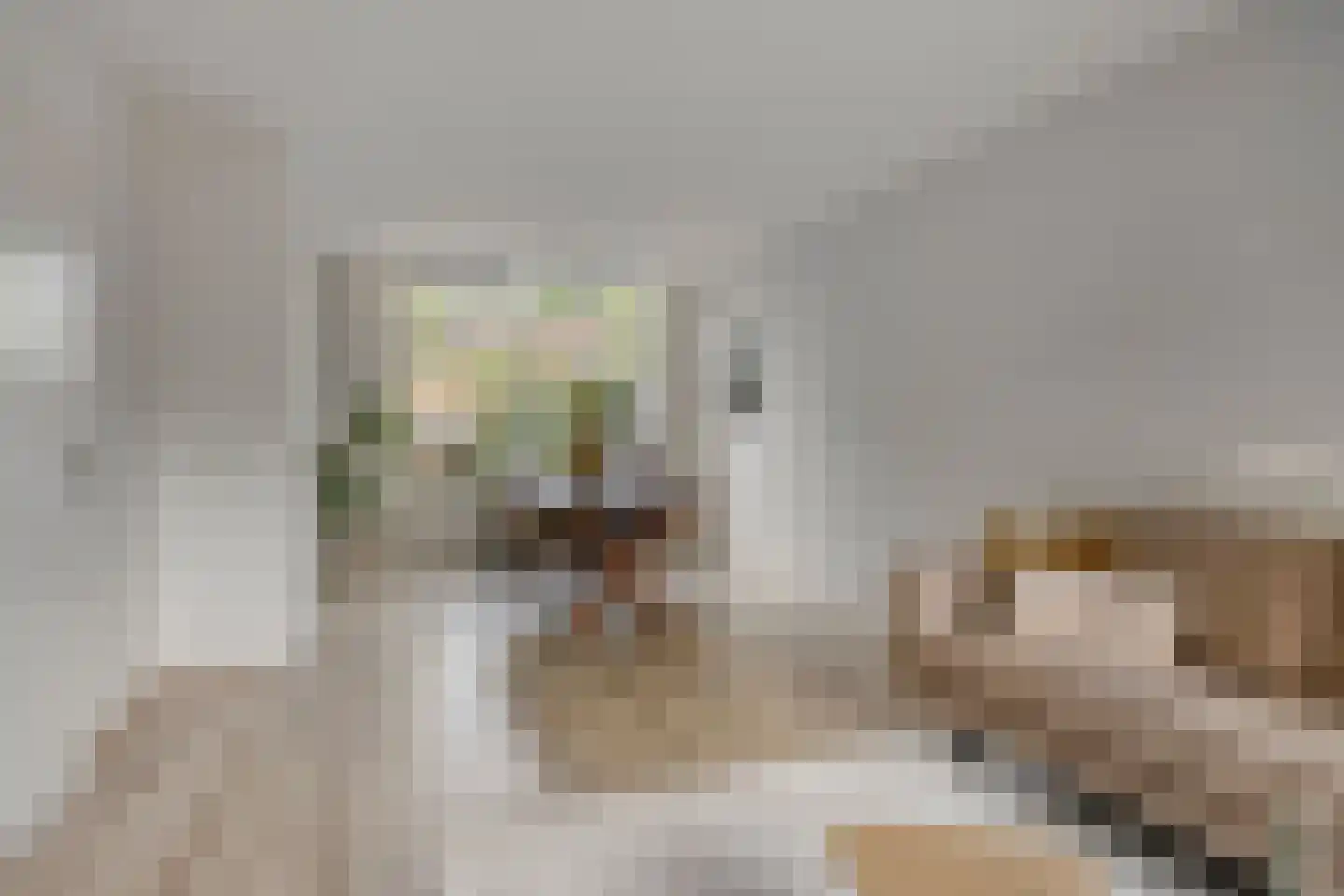Vrusschemigerweg 58 Heerlen thumbnail 6