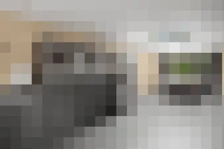 Vughterhage 2 Vught thumbnail 15