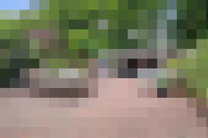 Vughterhage 2 Vught thumbnail 38