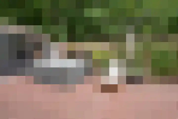 Vughterhage 2 Vught thumbnail 41