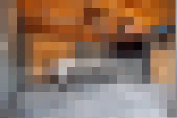 Vughterhage 2 Vught thumbnail 43