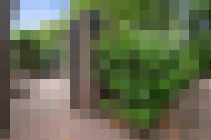Vughterhage 2 Vught thumbnail 49