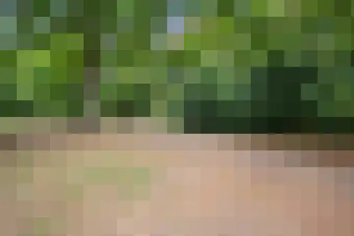 Vughterhage 2 Vught thumbnail 57