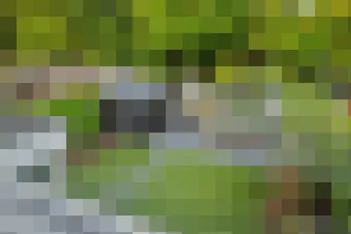 Vughterhage 28 Vught thumbnail 23
