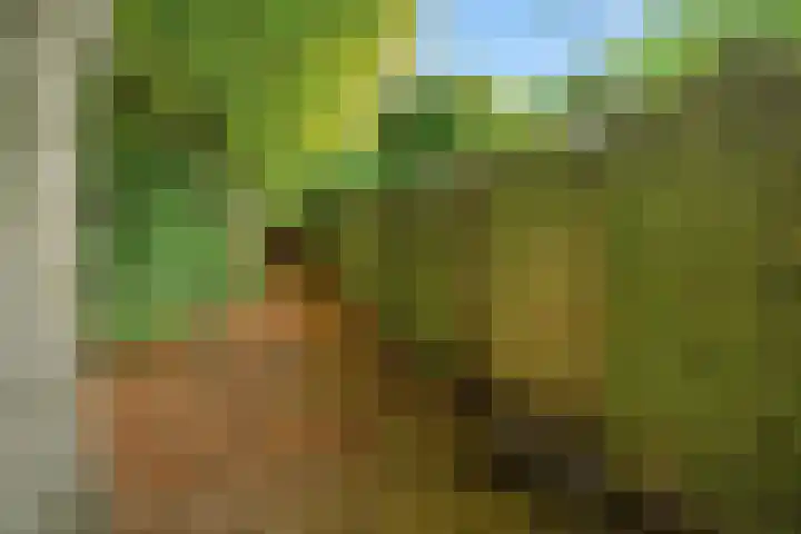 Vughterhage 28 Vught thumbnail 35