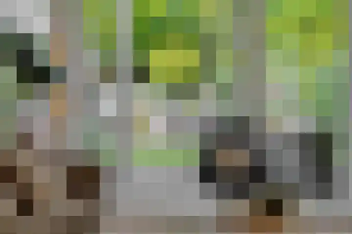 Vughterhage 28 Vught thumbnail 4