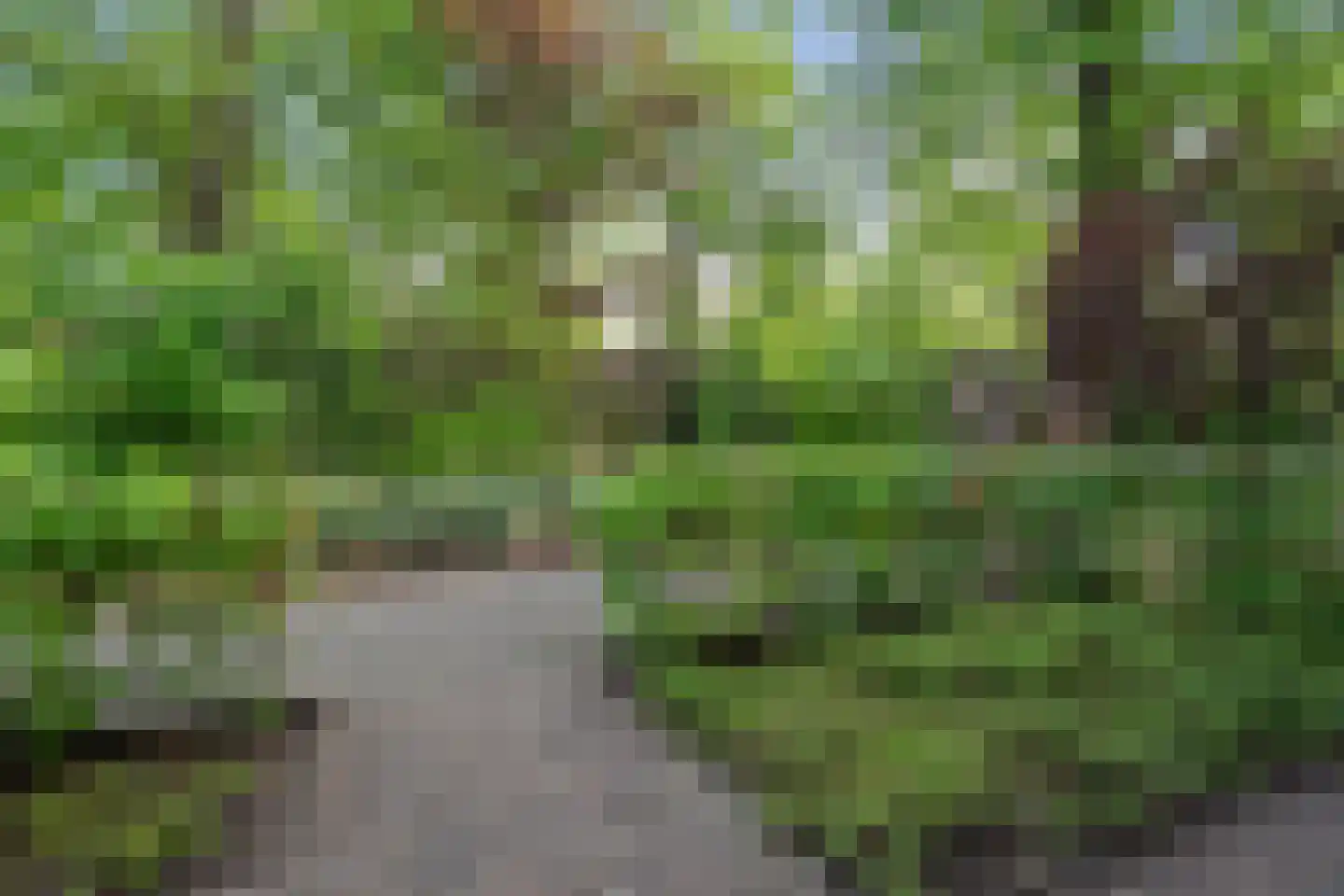 Vughterhage 7 Vught thumbnail 39