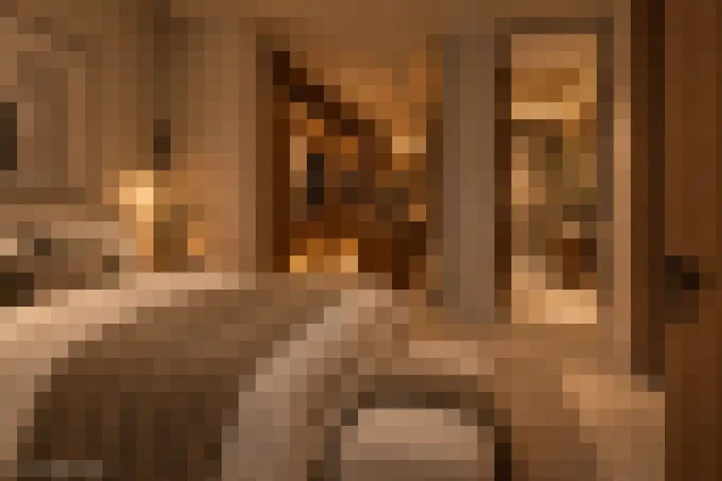 Vughterstraat 100 's-Hertogenbosch thumbnail 12