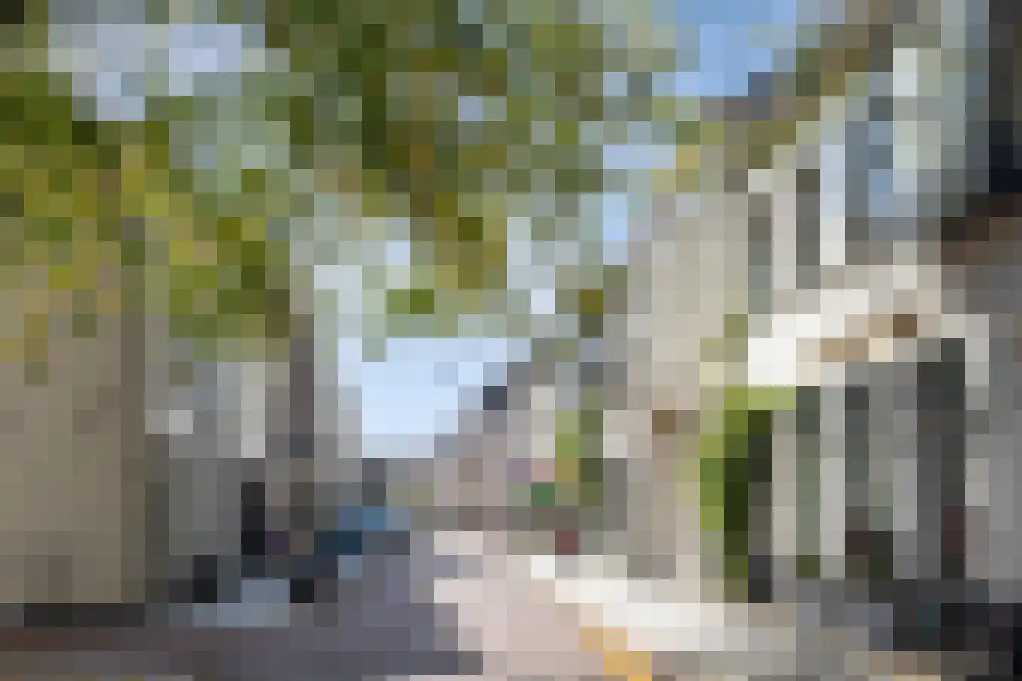 Vughterstraat 100 's-Hertogenbosch thumbnail 16