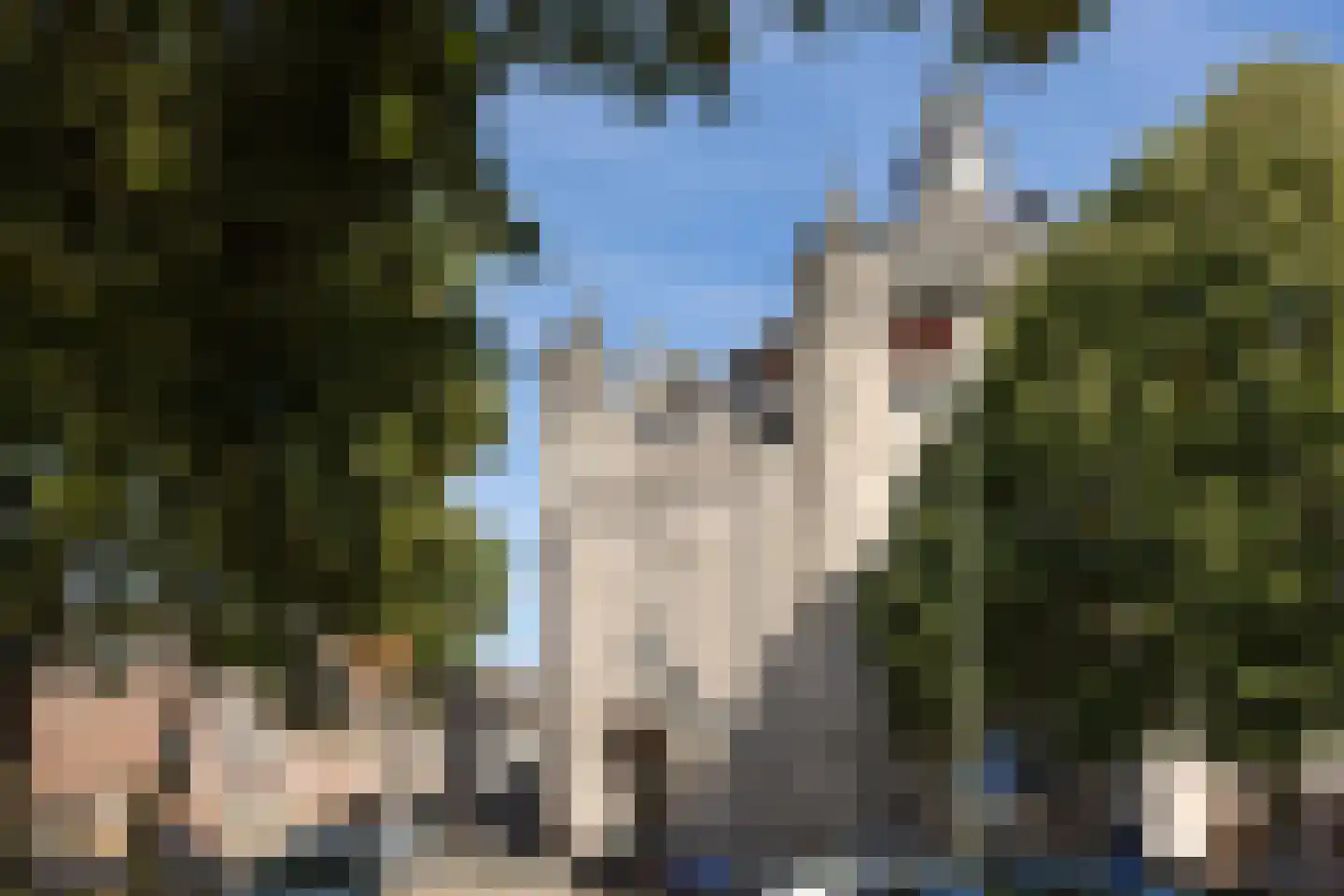 Vughterstraat 100 's-Hertogenbosch thumbnail 19