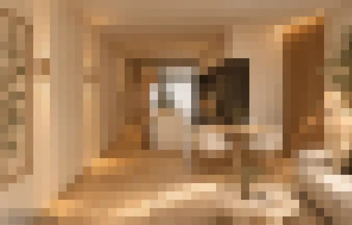 Vughterstraat 100 's-Hertogenbosch thumbnail 4