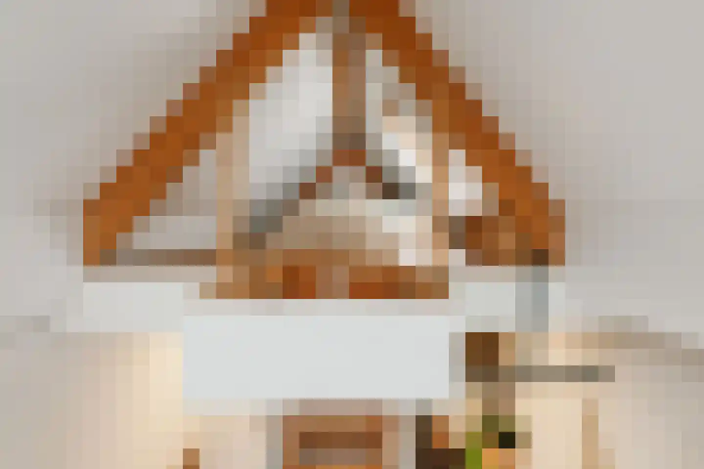 Vughterstraat 103 's-Hertogenbosch thumbnail 20