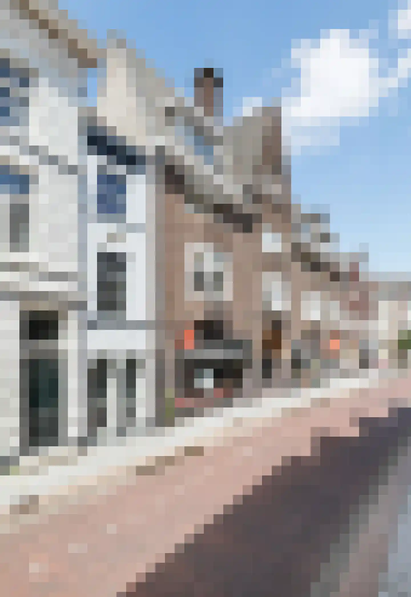 Vughterstraat 103 's-Hertogenbosch thumbnail 22