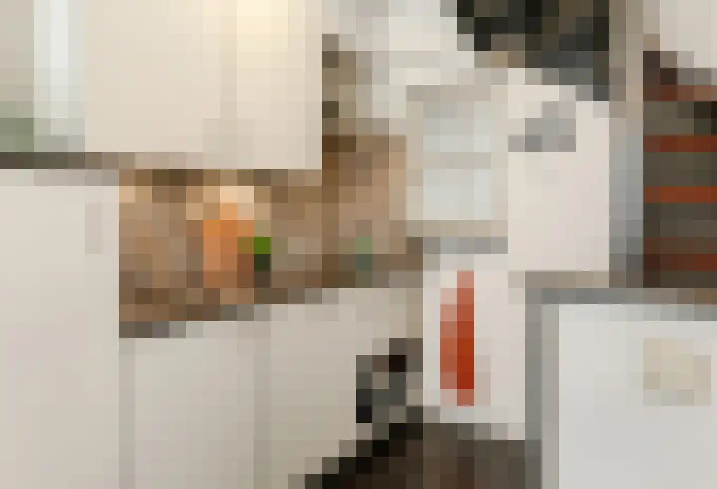 Vughterstraat 103 's-Hertogenbosch thumbnail 7
