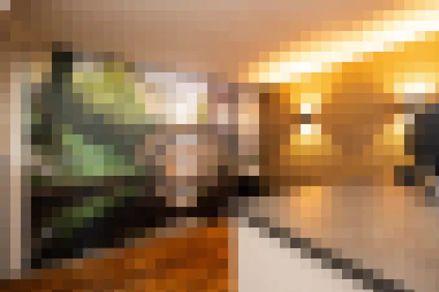 Vughterstraat 106 's-Hertogenbosch thumbnail 10