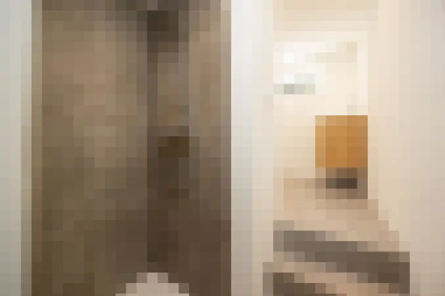 Vughterstraat 106 's-Hertogenbosch thumbnail 22