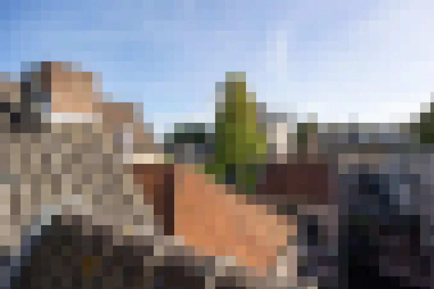 Vughterstraat 106 's-Hertogenbosch thumbnail 33