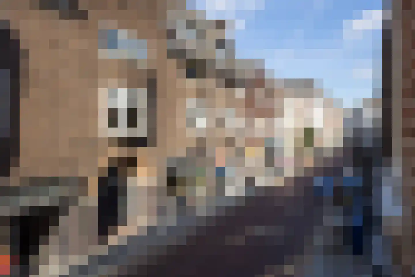 Vughterstraat 106 's-Hertogenbosch thumbnail 34