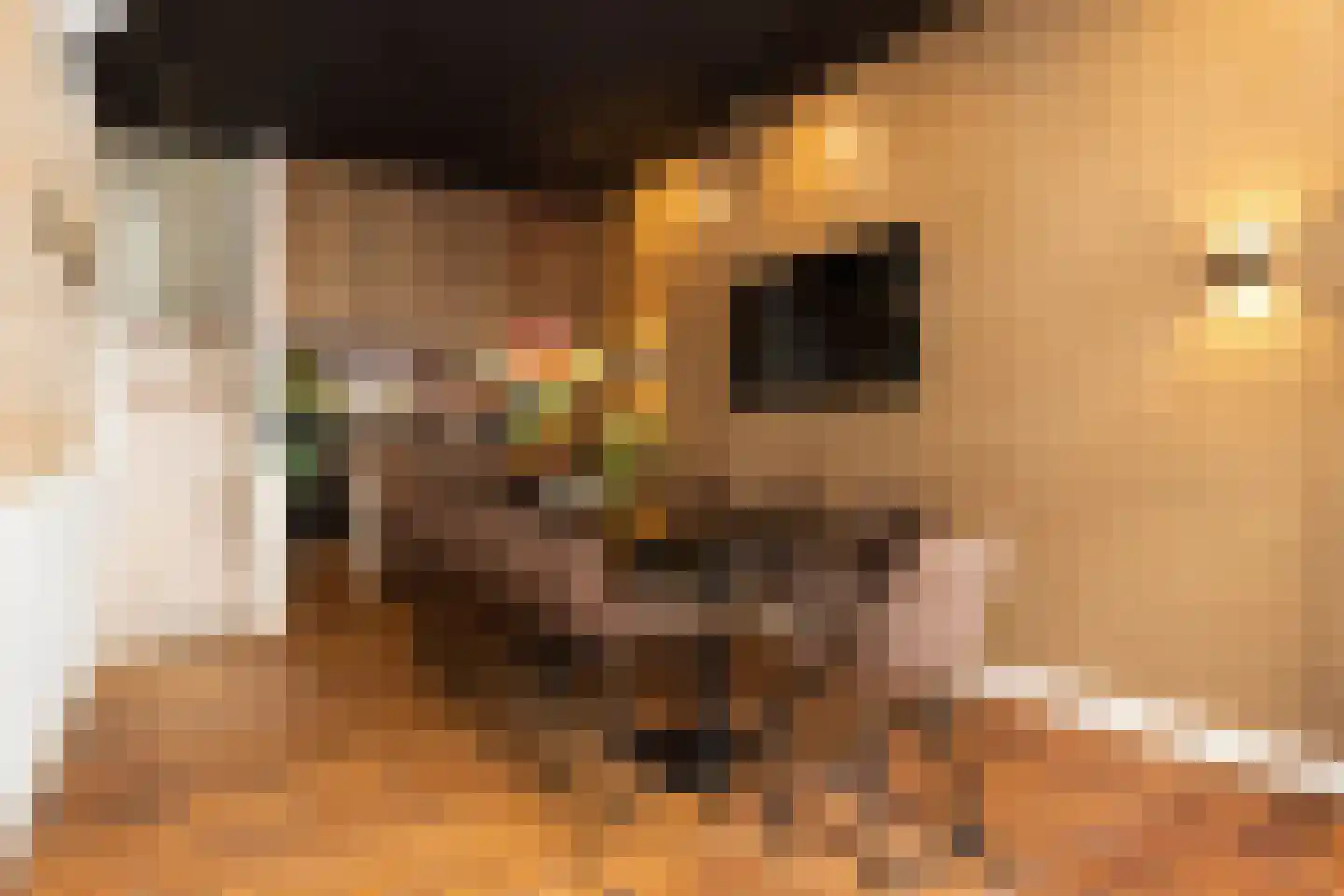 Vughterstraat 106 's-Hertogenbosch thumbnail 4