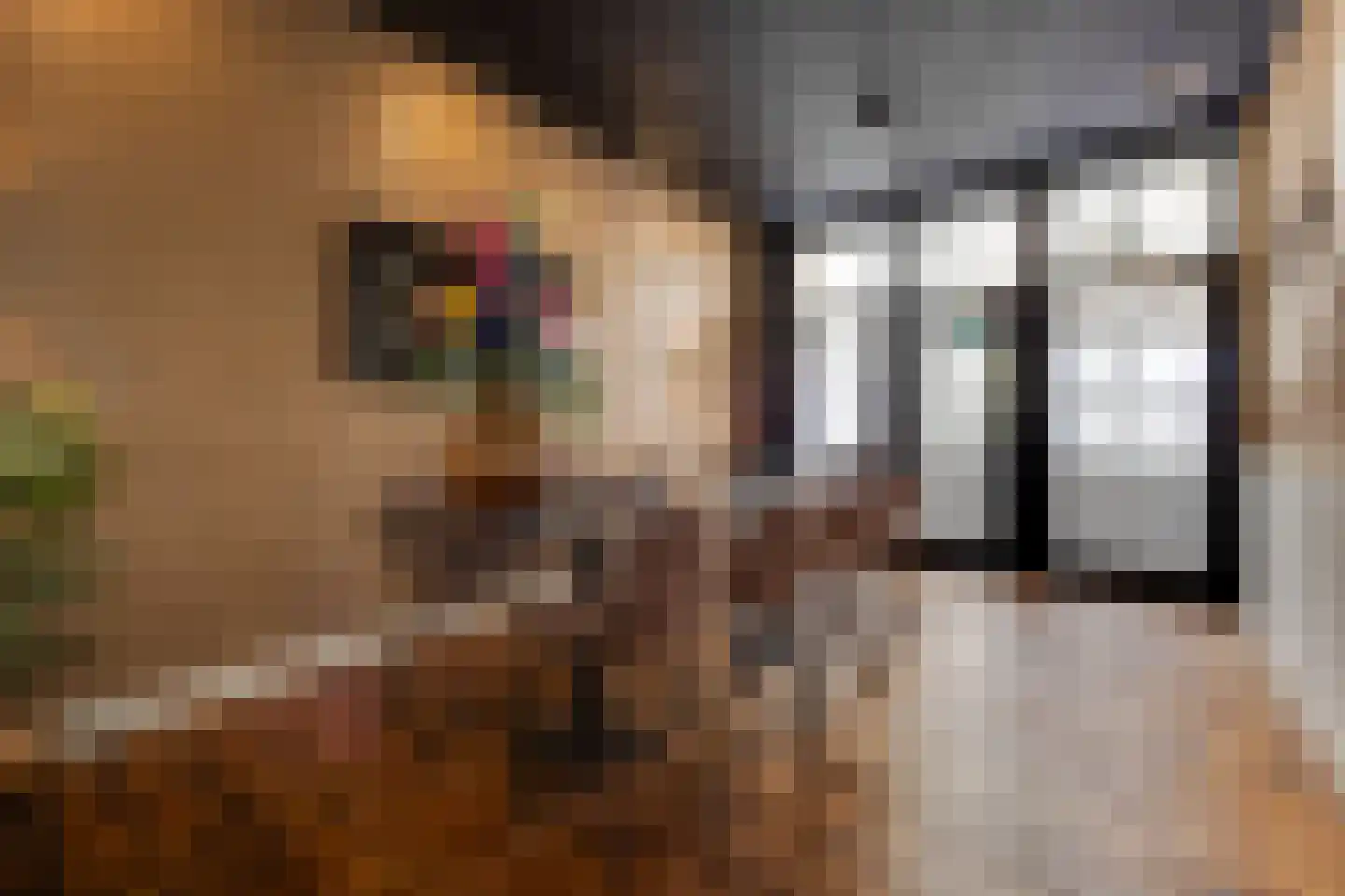 Vughterstraat 106 's-Hertogenbosch thumbnail 6